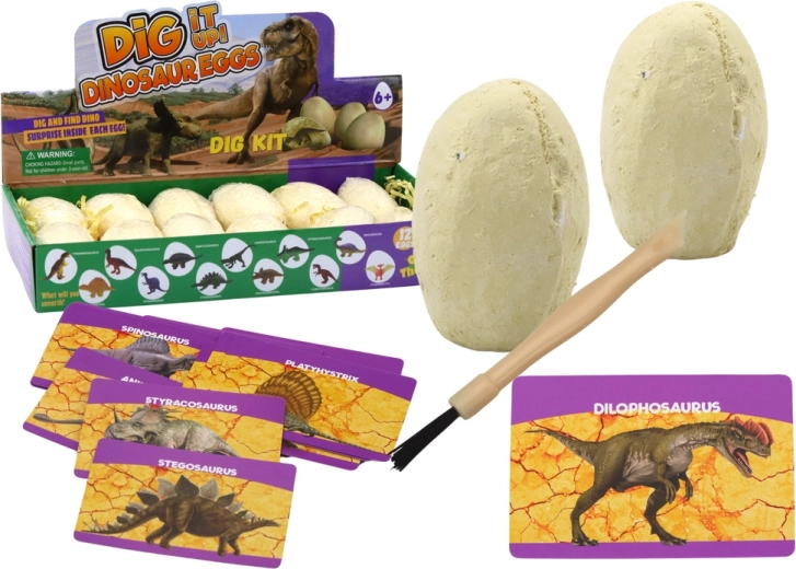 Set arheologic Ouă de dinozaur