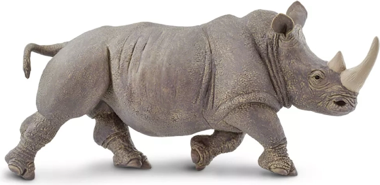 Învățare prin joc despre natura Africii