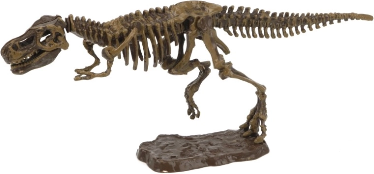 Set arheologic 3D tiranozaur