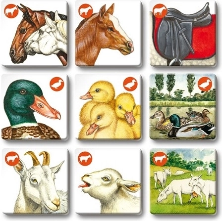 Trei jocuri într-un singur pachet