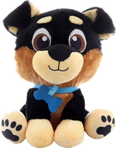 Detalii brodate sigure