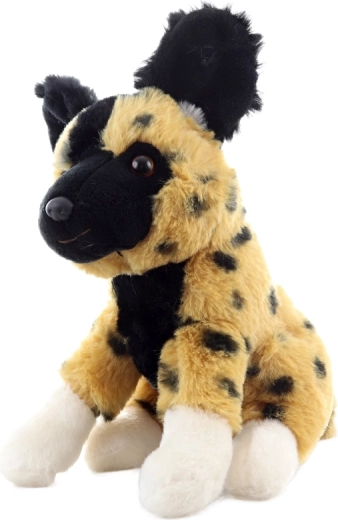 Dimensiuni compacte pentru acasă și în călătorii