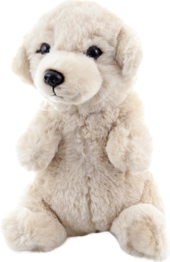 Sigur încă de la naștere