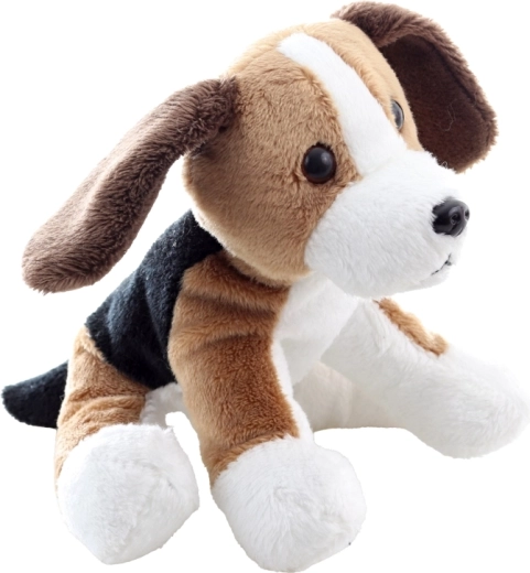 Ședere stabilă datorită bilelor