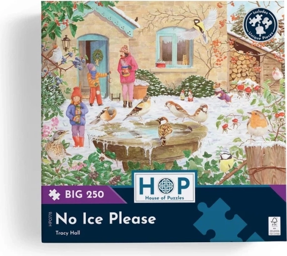 Execuție de calitate House of Puzzles