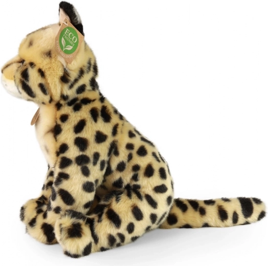 Aspect realist și pluș catifelat