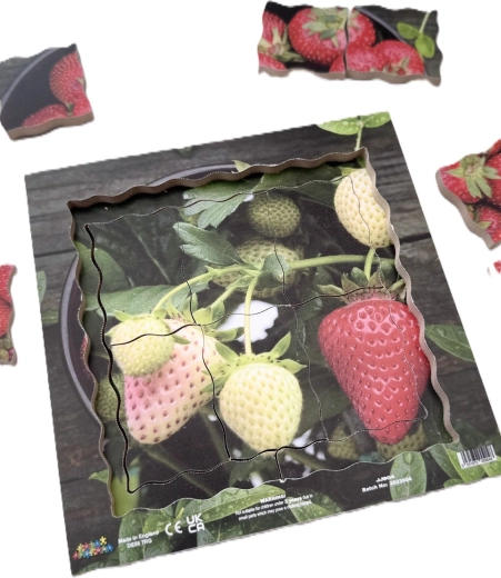Puzzle din lemn stratificat