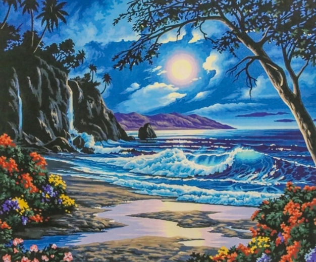 Norimpex Pictură după numere Paradisul în noapte 40 × 50 cm