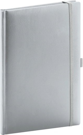 Notique notes Balacron argintiu punctat 15 × 21 cm