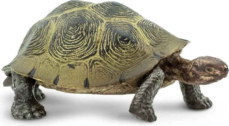 Safari Ltd. figurină țestoasă de deșert