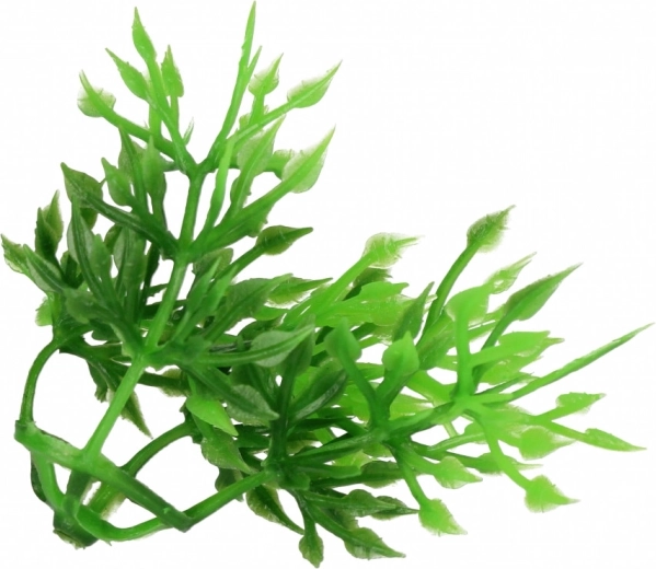 Creează-ți propria mini-scenă