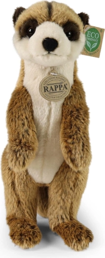 Sigură și iubitoare de îmbrățișări din prima zi