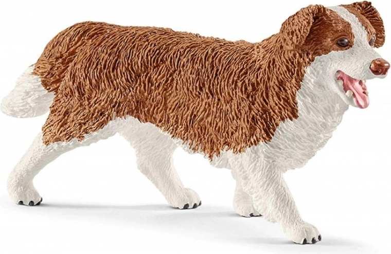 Îngrijirea animalelor de companie cu cățelușa Ruby