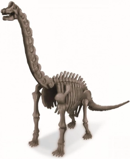 Model de Brachiosaurus asamblabil