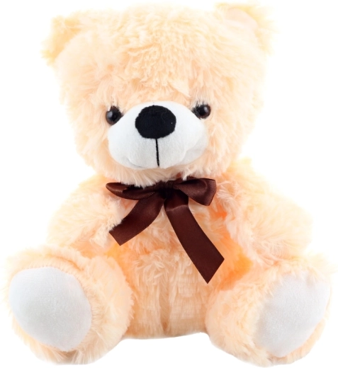 Detalii drăgălașe cu fundiță