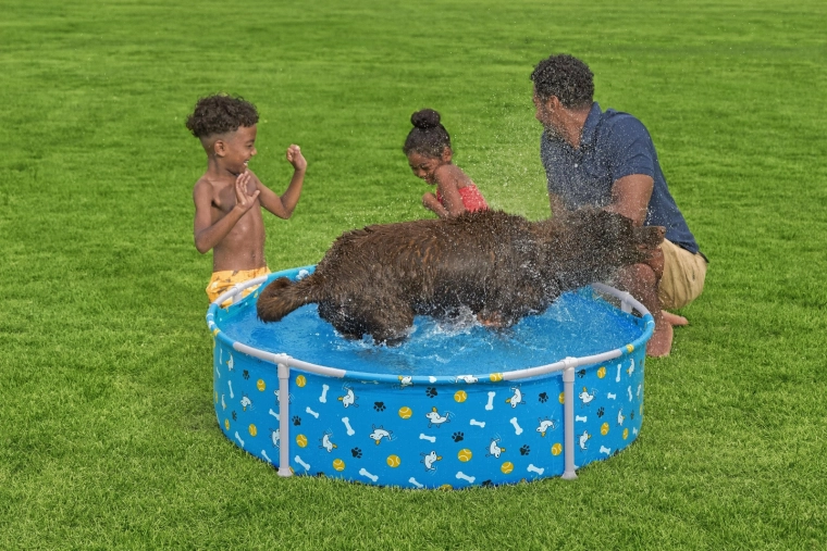 Design amuzant pentru animale de companie și copii