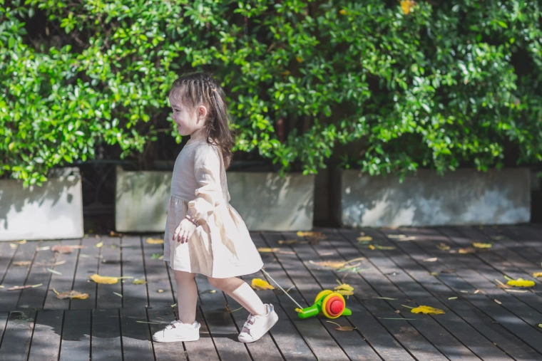 Jucărie PlanToys de calitate și ecologică