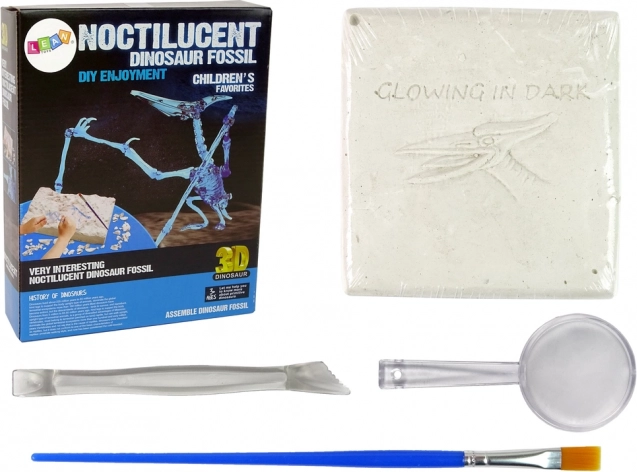 Set arheologic cu fosile de schelet de dinozaur - Pteranodon