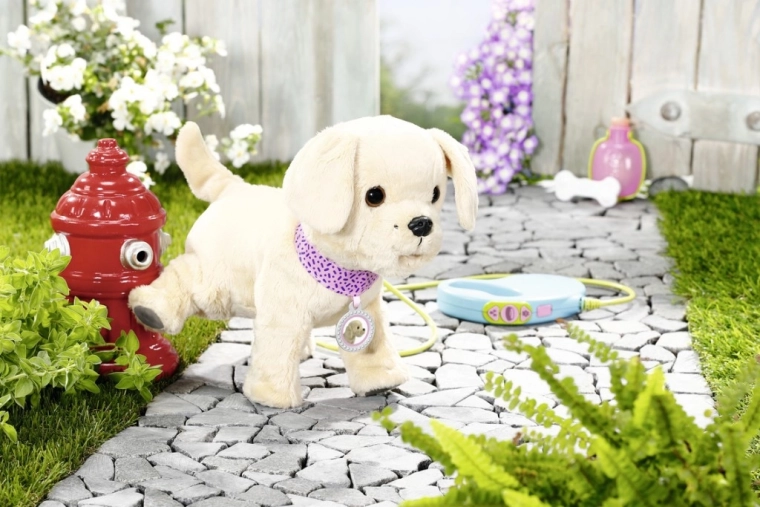 Plimbări ca alături de un animal de companie adevărat