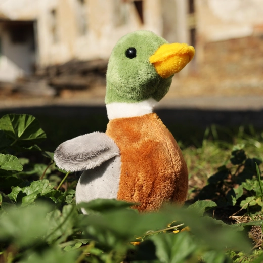 Umplutură eco-friendly