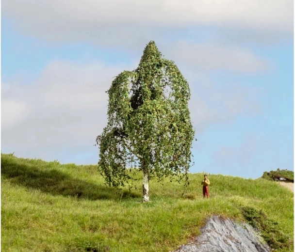 Mesteacăn argintiu plângător NOCH 12 cm (Master Trees)