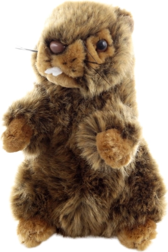 Procesare eco-friendly