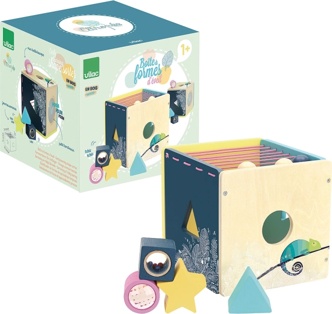 Cub Motoric din Lemn Vilac Canopée