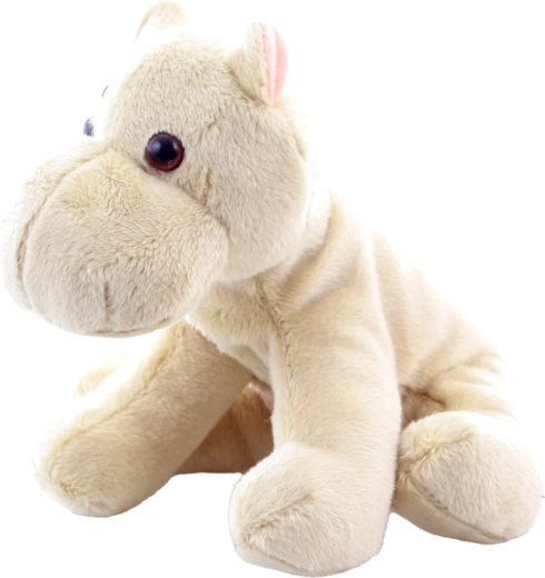 Stabilitate la ședere datorită bilelor