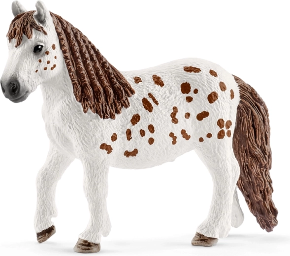 Poneiul Shetland Spotty cu detalii elaborate