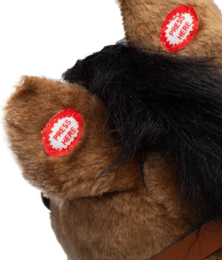 Urechi interactive cu melodie