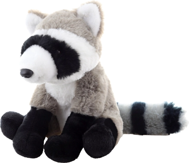 Detalii realiste ale ratonului