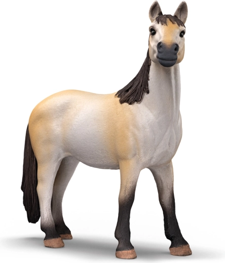 Frumoasa iapă mustang