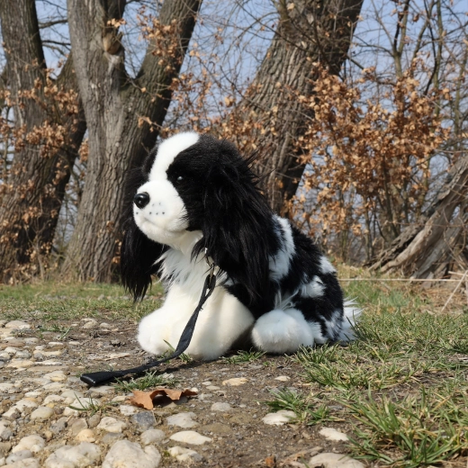 Lesă pentru joaca de-a plimbarea