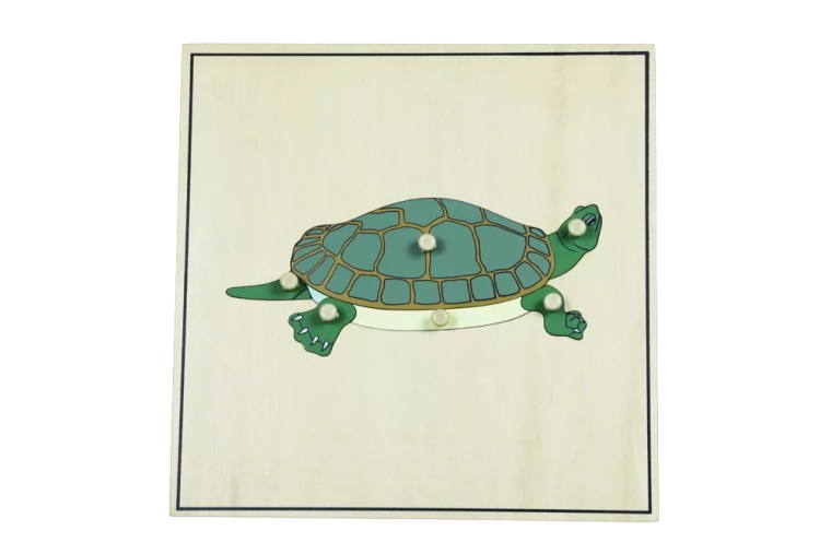 Puzzle cu schelet – țestoasă