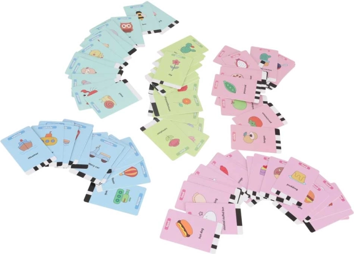 Set bogat cu 100 de carduri educaționale