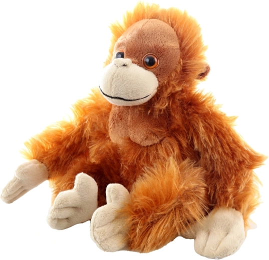 Detalii drăgălașe și calitate superioară