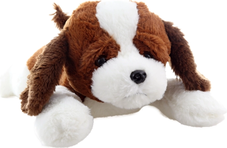 Aspect drăguț și realist