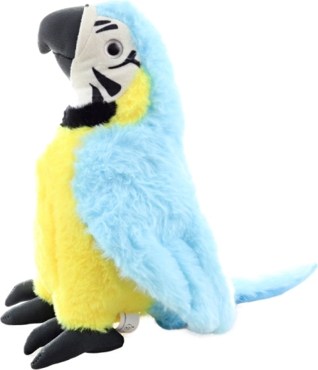 Sigur de la naștere