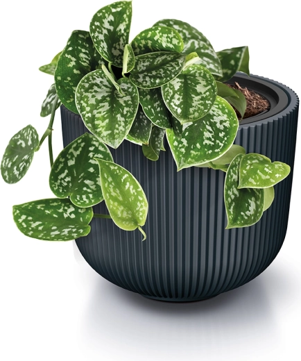 Confort de autoirigare cu indicator