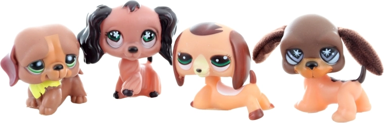 Animăluț adorabil pregătit pentru îngrijire