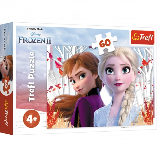Puzzle 60 de piese Lumea Fermecată a Annei și Elsei