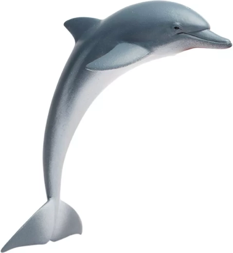 Delfin Safari Ltd. - 1 bucată