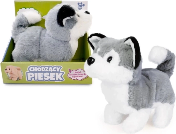 Cățeluș husky de pluș care merge, 15 cm
