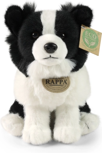 Detalii realiste Border Collie