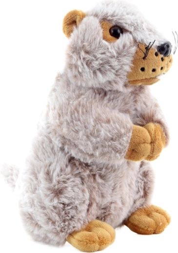 Mărime ideală pentru mâinile copiilor