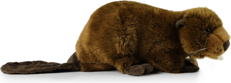 Sigur și potrivit încă de la naștere