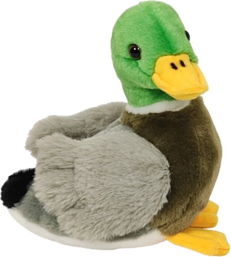 Rățușcă 18 cm