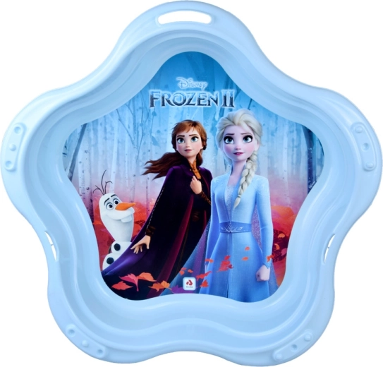 Motivul fermecător DISNEY FROZEN