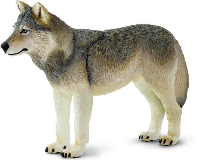 Safari Ltd. figurină lup cenușiu - 1 bucată