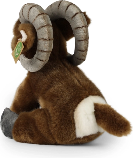 Moale și numai bună de îmbrățișat zi de zi